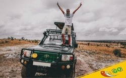 article img